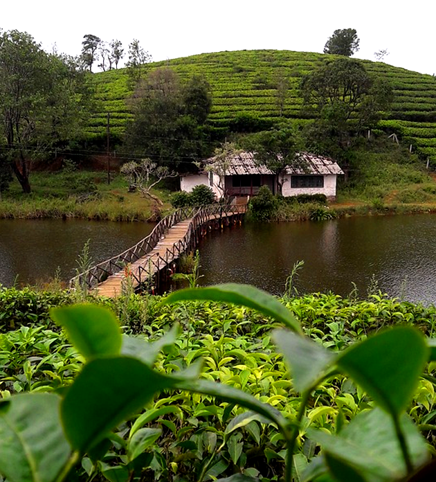 economy munnar